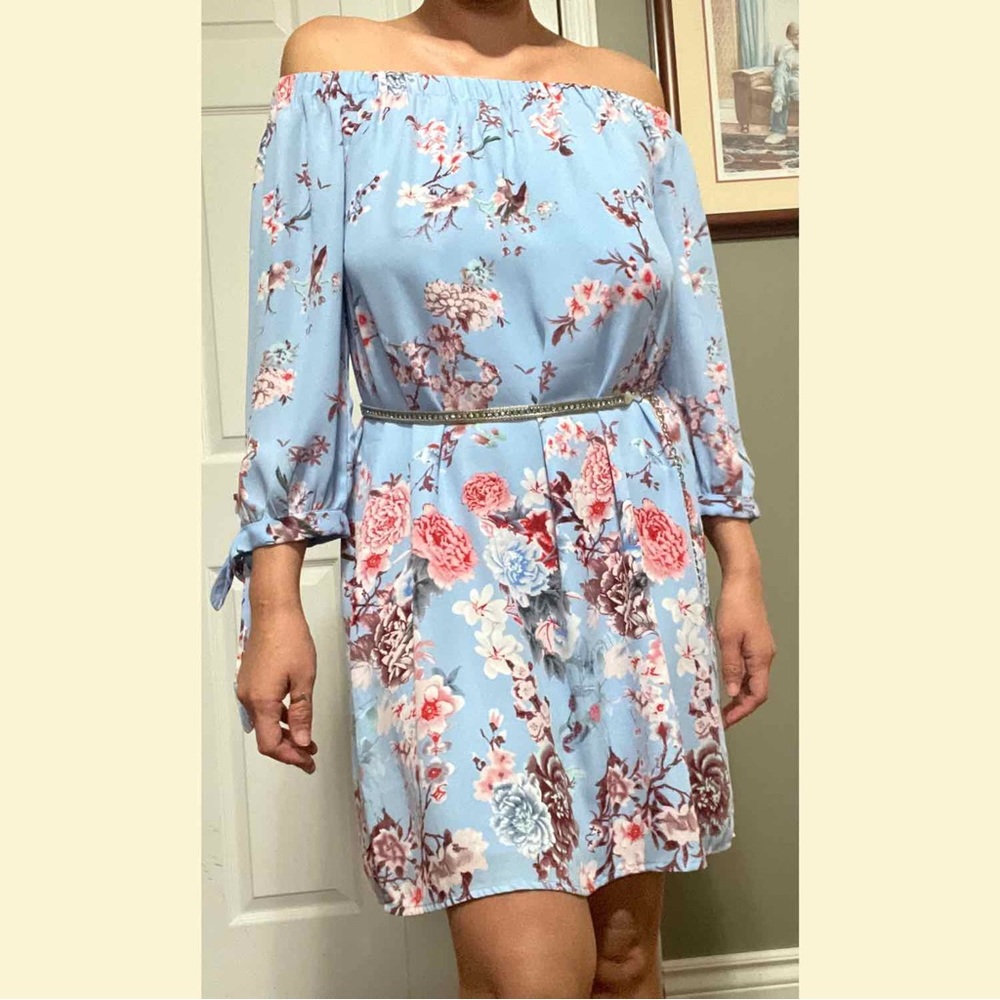Eliane Rose Womens Dress